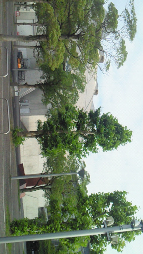 201106241702000.jpg